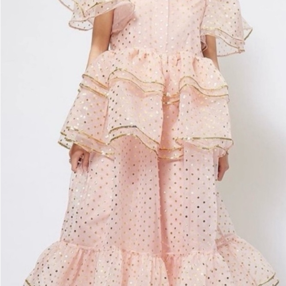 Fairy Godmother/ pink witch  Sister Jane Pink Organza  Dress L - Picture 3 of 7
